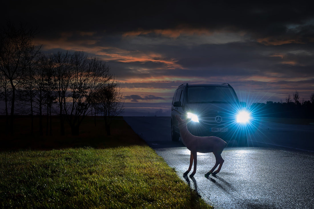 Fahrsicherheitstraining Nacht – Nachtfahrtraining