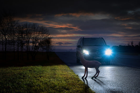 Fahrsicherheitstraining Nacht – Nachtfahrtraining